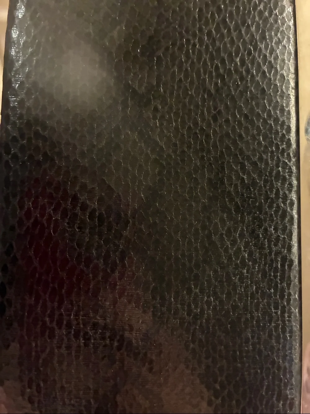 Black Faux Snakeskin Clutch with Silver Frame